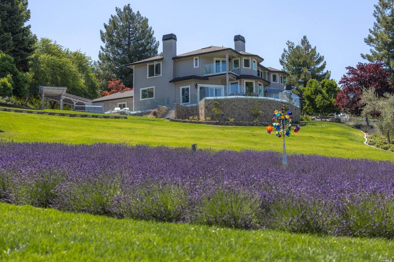 4067 Polled Hereford Drive - Photo 1