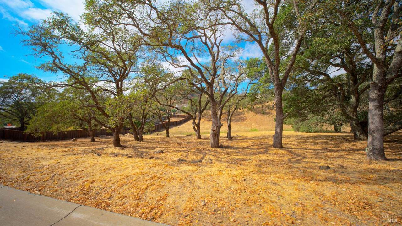 743 Bridle Ridge Court - Photo 1