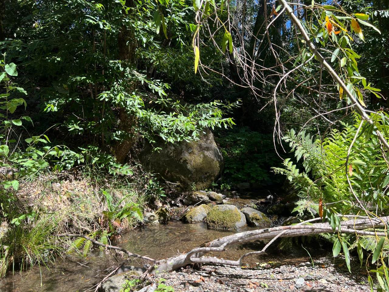 20925 Mid Mountain (17N17 Usfs) Road - Photo 1