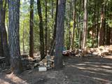 27178 Bear Drive - Photo 2