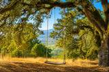 31000 Pine Mountain Road - Photo 73