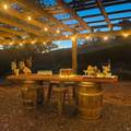 31000 Pine Mountain Road - Photo 9