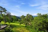 31000 Pine Mountain Road - Photo 14