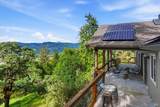 31000 Pine Mountain Road - Photo 15