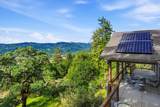 31000 Pine Mountain Road - Photo 49