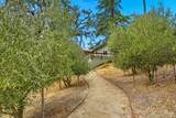 31000 Pine Mountain Road - Photo 50
