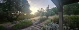 31000 Pine Mountain Road - Photo 56