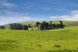 4600 Valley Ford-Franklin School Road - Photo 10