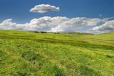 4600 Valley Ford-Franklin School Road - Photo 11