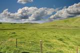 4600 Valley Ford-Franklin School Road - Photo 12