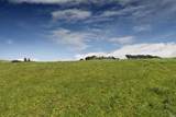 4600 Valley Ford-Franklin School Road - Photo 14