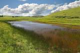 4600 Valley Ford-Franklin School Road - Photo 19