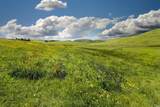 4600 Valley Ford-Franklin School Road - Photo 20