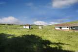 4600 Valley Ford-Franklin School Road - Photo 6