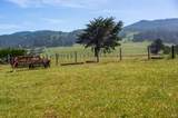 16401 Highway 1 - Photo 20