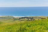 16401 Highway 1 - Photo 22