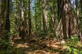 16401 Highway 1 - Photo 37