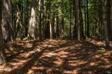 16401 Highway 1 - Photo 39