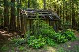 16401 Highway 1 - Photo 42