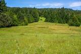 16401 Highway 1 - Photo 49