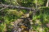 16401 Highway 1 - Photo 51