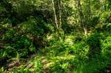 16401 Highway 1 - Photo 56