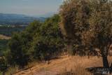 6111 Wild Horse Valley Road - Photo 13