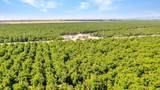 45496 County Road 35 - Photo 37