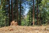 1401 Nicasio Valley Road - Photo 10