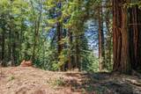 1401 Nicasio Valley Road - Photo 20