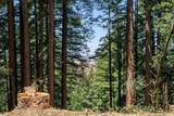 1401 Nicasio Valley Road - Photo 21