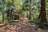 1401 Nicasio Valley Road - Photo 25