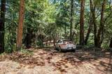 1401 Nicasio Valley Road - Photo 7