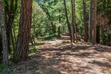 1401 Nicasio Valley Road - Photo 8