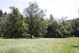 0 Williams Creek Road - Photo 10