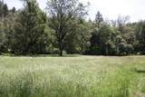 0 Williams Creek Road - Photo 11