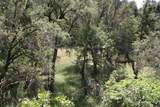0 Williams Creek Road - Photo 19