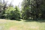 0 Williams Creek Road - Photo 21