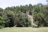 0 Williams Creek Road - Photo 22
