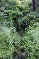 0 Williams Creek Road - Photo 28