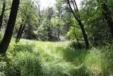 0 Williams Creek Road - Photo 32