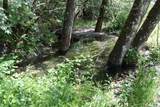 0 Williams Creek Road - Photo 33