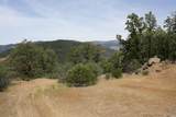 0 Williams Creek Road - Photo 8