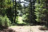 0 Williams Creek Road - Photo 9
