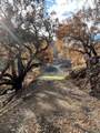 0 Wallace Creek Road - Photo 10