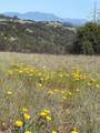 0 Wallace Creek Road - Photo 5
