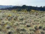 0 Wallace Creek Road - Photo 6