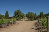 11080 Franz Valley Road - Photo 49