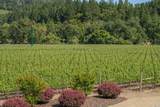 11080 Franz Valley Road - Photo 82