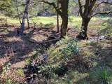 43281 Covelo Road - Photo 19
